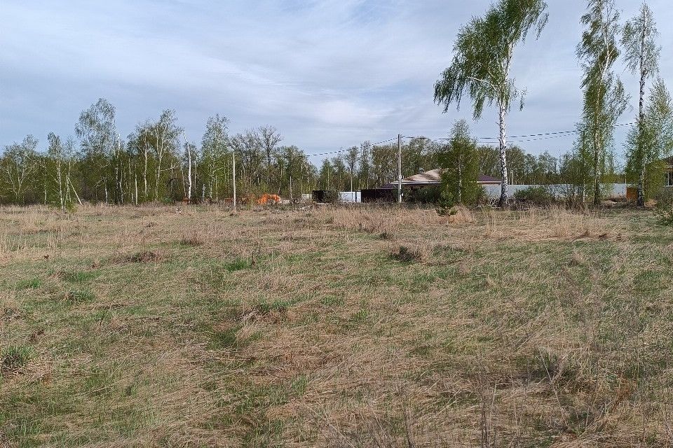 земля г Воронеж р-н Левобережный городской округ Воронеж, Левобережный фото 9