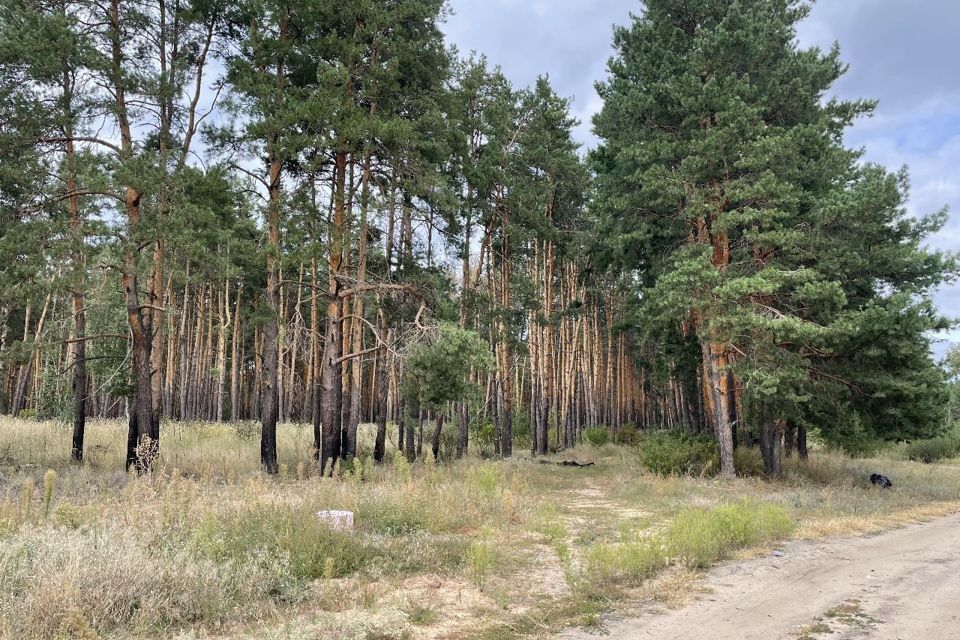 земля г Воронеж р-н Левобережный городской округ Воронеж, Левобережный фото 10