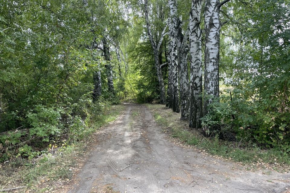 земля г Воронеж р-н Левобережный городской округ Воронеж, Левобережный фото 9