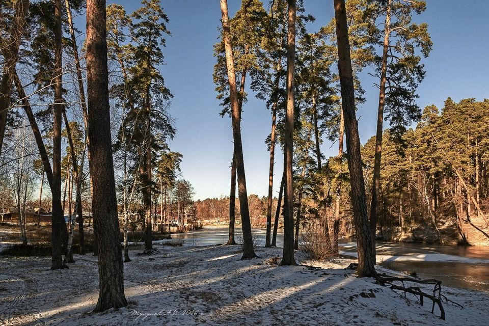 земля р-н Тамбовский село Тулиновка фото 7