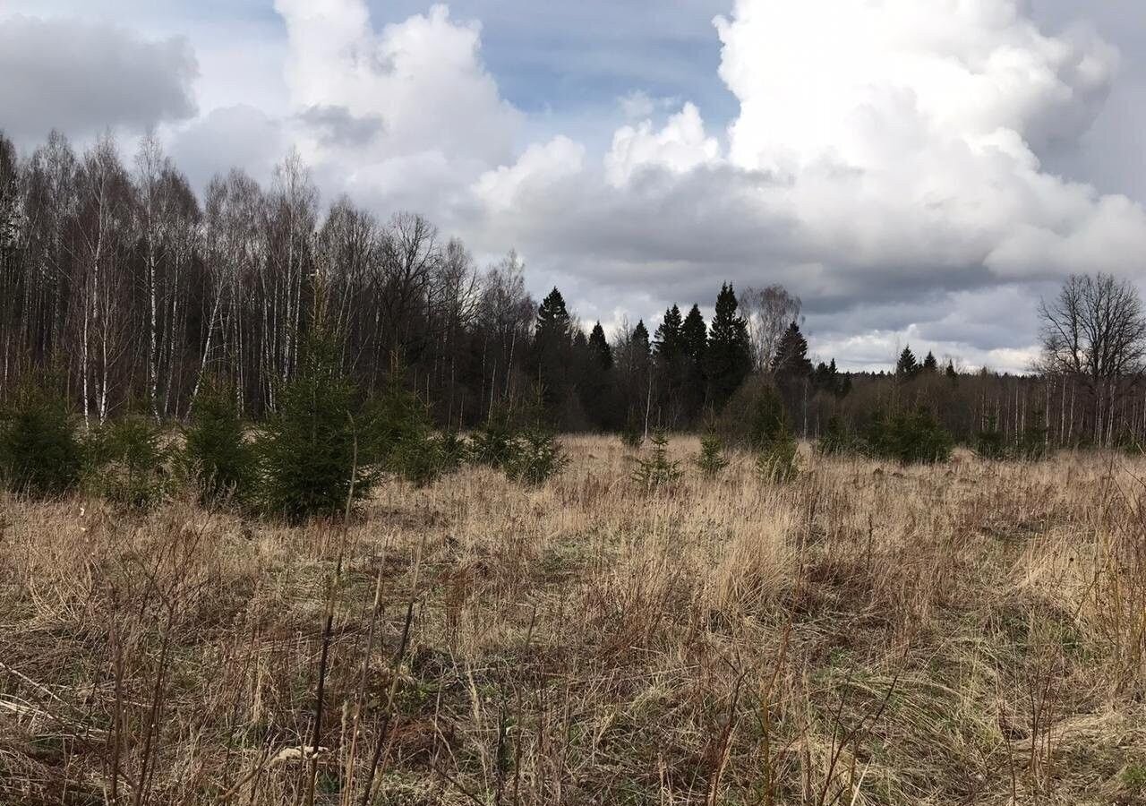 земля городской округ Красногорск д Поздняково 9 км, коттеджный пос. Никольская Слобода, Красногорск, Волоколамское шоссе фото 1