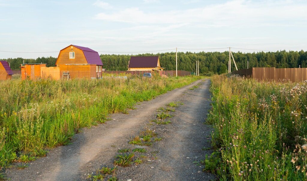 земля городской округ Клин д Губино днт Чистые пруды фото 7