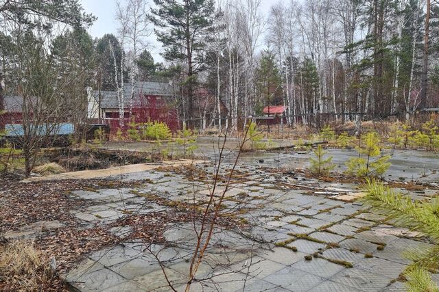 земля ДНП Жемчужина, Байкальский тракт, 23-й километр фото