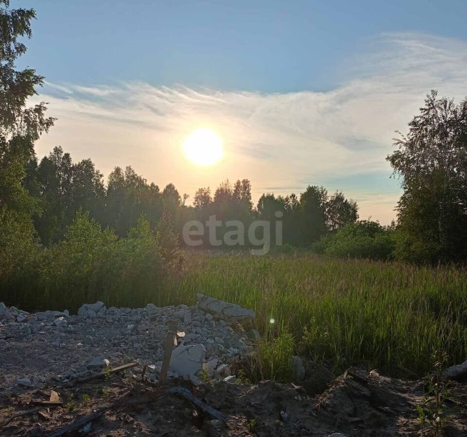 земля г Тюмень р-н Центральный снт Поле чудес Лазурная ул фото 1