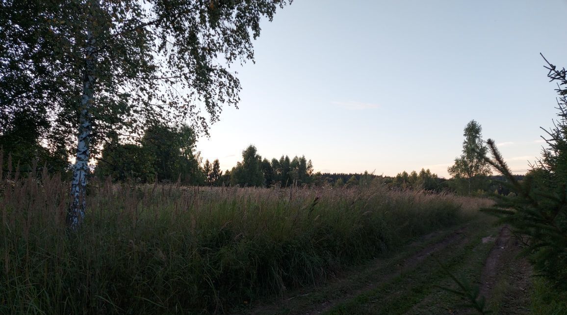 земля городской округ Можайский д Малые Решники фото 18