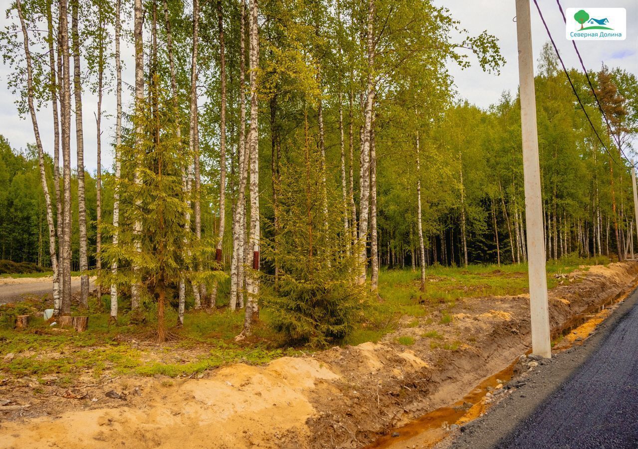 земля р-н Всеволожский 22 км, Всеволожский р-н, Токсовское городское поселение, коттеджный пос. Экофорест, Лесколово, Ленинградское шоссе фото 13