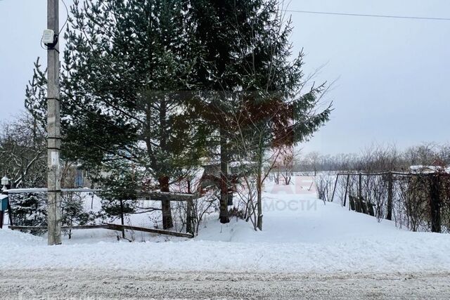 деревня Верхняя Колония фото