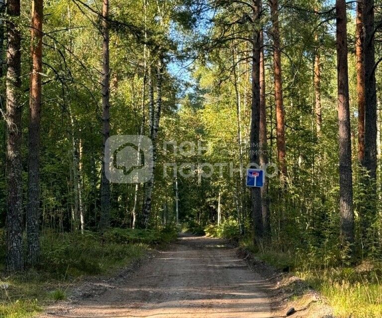 земля р-н Выборгский садоводческое некоммерческое товарищество Межозёрное фото 4