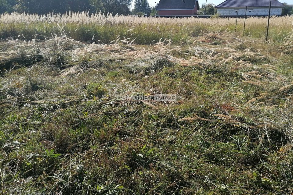 земля городской округ Богородский деревня Ново фото 4