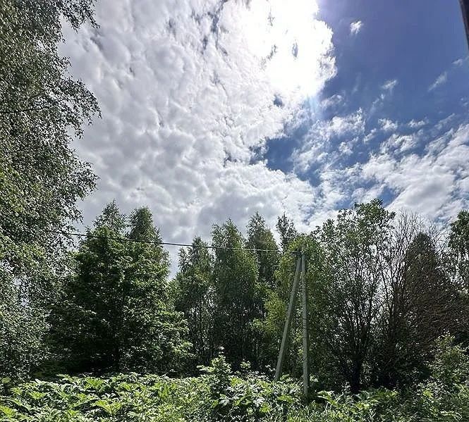 земля городской округ Рузский деревня Щербинки фото 3