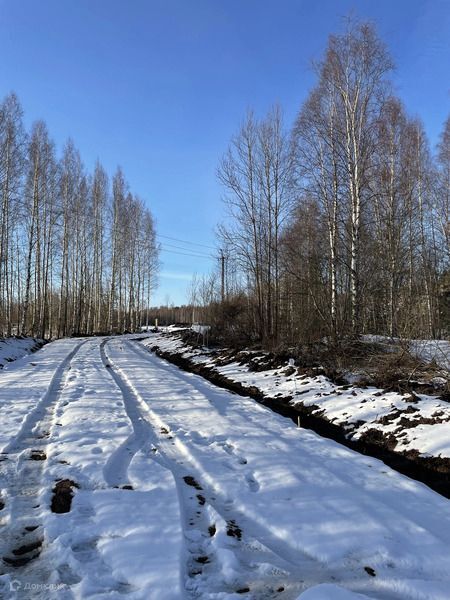 земля р-н Всеволожский фото 7