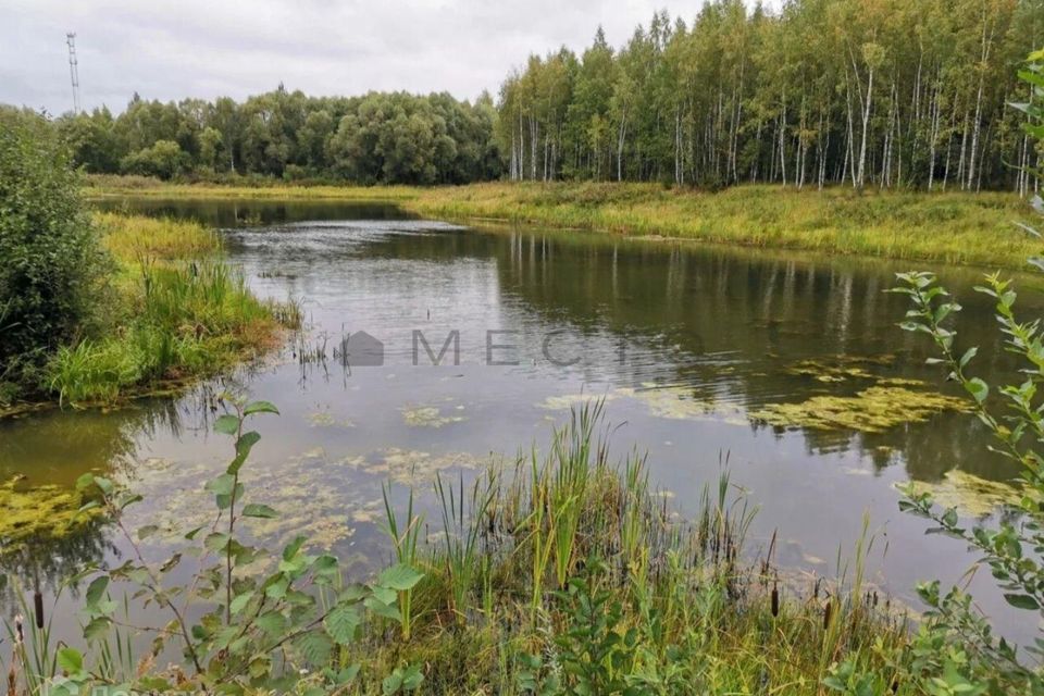 земля городской округ Можайский деревня Утицы фото 8