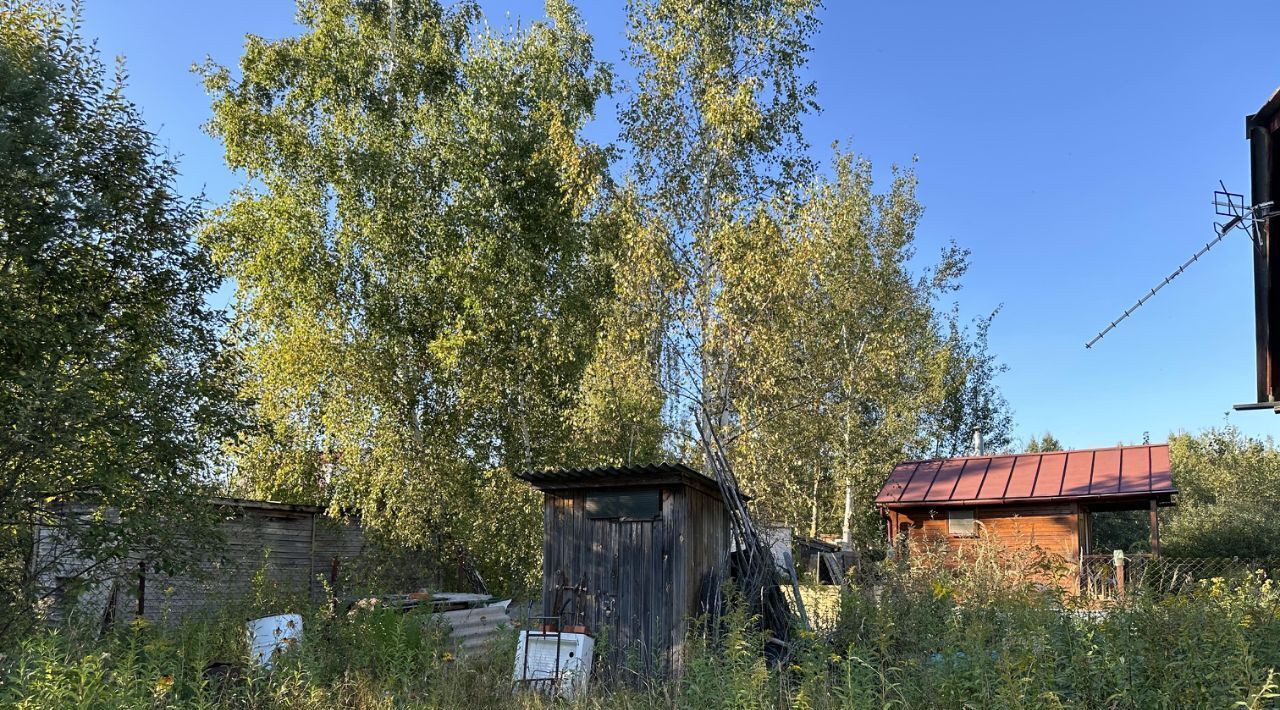 земля городской округ Орехово-Зуевский д Минино снт Янтарь фото 8