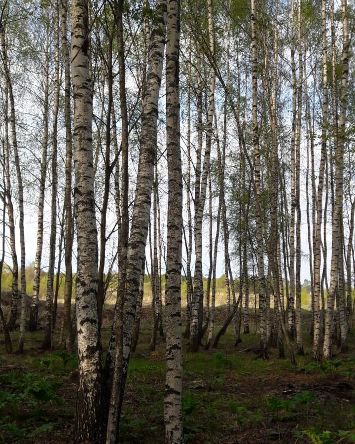 земля городской округ Можайский д Горетово 100 км, Уваровка, Минское шоссе фото 8