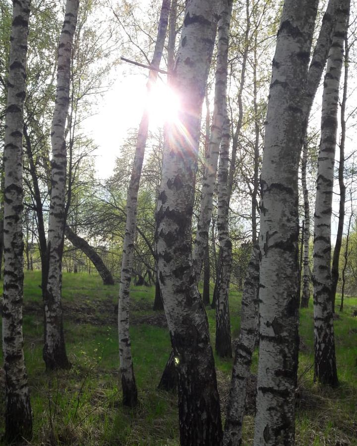 земля городской округ Можайский д Горетово 9824 км, Уваровка, Минское шоссе фото 10