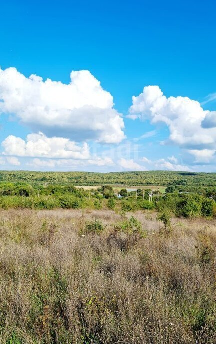 земля г Новороссийск с Цемдолина снт Золотая рыбка р-н Приморский фото 5