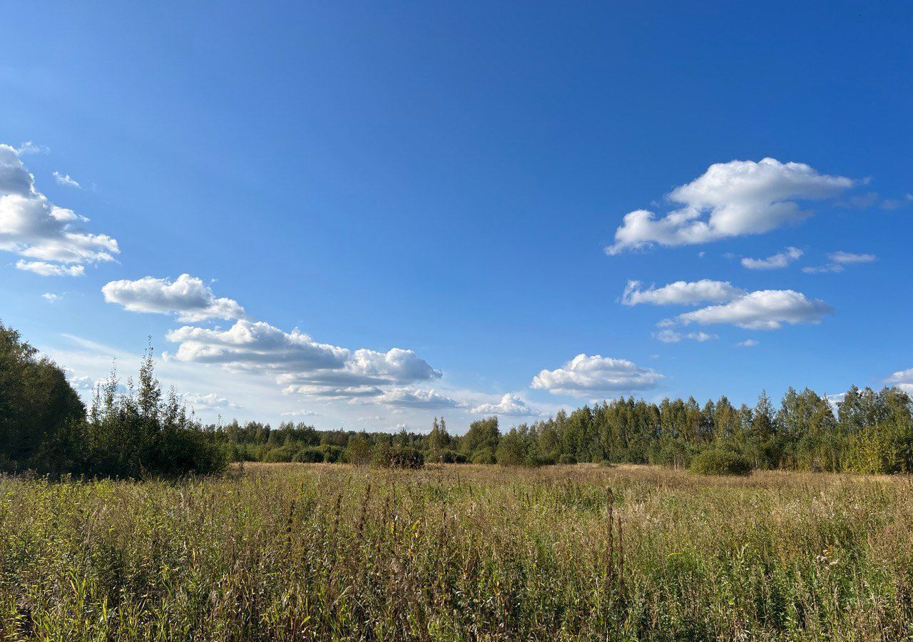 земля городской округ Раменский д Глебово 9763 км, Речицы, Егорьевское шоссе фото 5