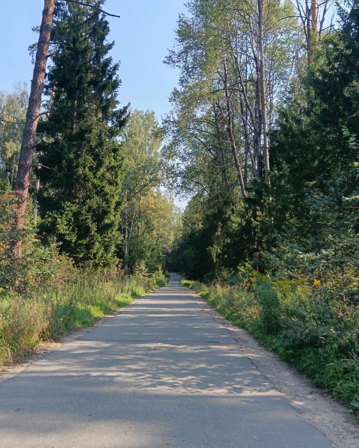 дом городской округ Богородский д Калитино 48 км, коттеджный пос. Лесные Дали, Ногинск, Щёлковское шоссе фото 27