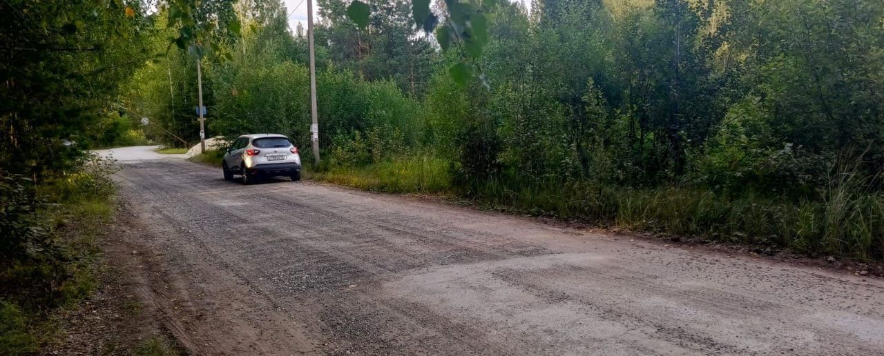 земля р-н Медведевский п Пемба ул Вокзальная Куярское сельское поселение, Сурок фото 1