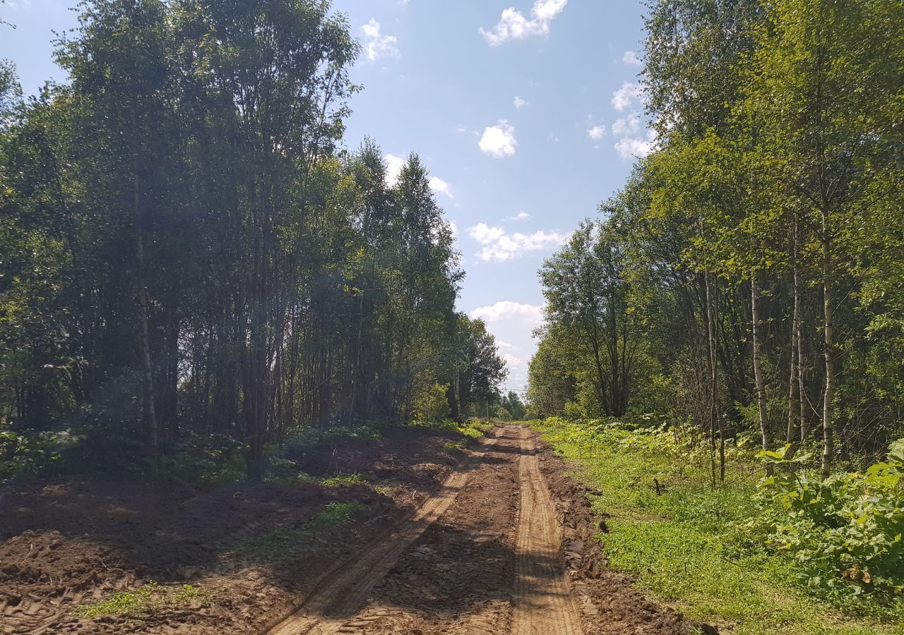 земля городской округ Рузский д Андрейково 9787 км, Новопетровское, Волоколамское шоссе фото 14