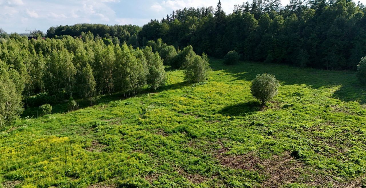 земля городской округ Дмитровский рп Икша 9755 км, 13, пос. Поповка, Рогачёвское шоссе фото 12