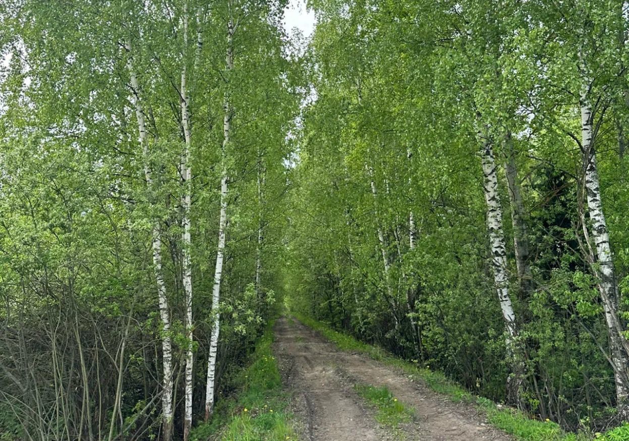 земля направление Горьковское (восток) ш Горьковское 9765 км, мкр-н Восточный, жилой комплекс Клюшки, Электросталь фото 12