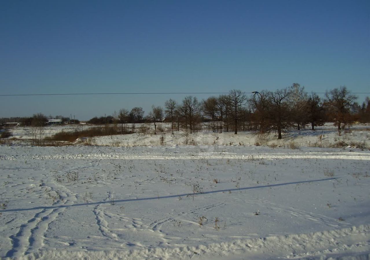 земля городской округ Волоколамский д Лудина Гора снт Лудина Гора 9820 км, 4-я ул., 474, Волоколамск, Новорижское шоссе фото 3