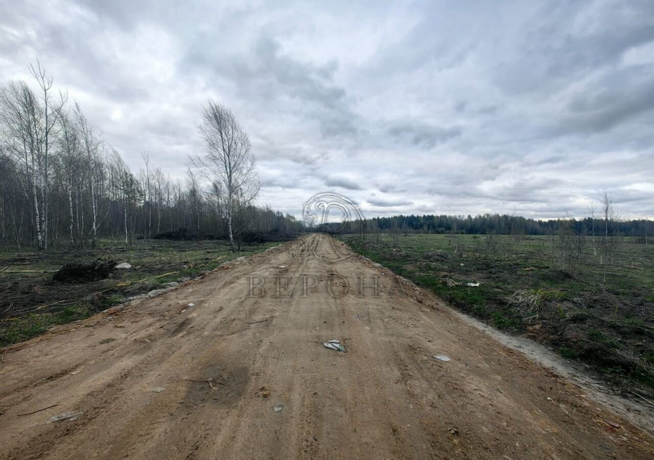 земля направление Горьковское (восток) ш Горьковское 9757 км, Богородский г. о, Ногинск фото 3