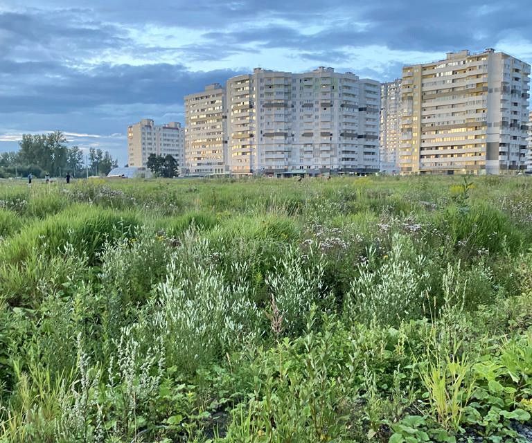 квартира г Санкт-Петербург п Парголово ул Тихоокеанская Выборгский, 18 к 3 ст 1 фото 6