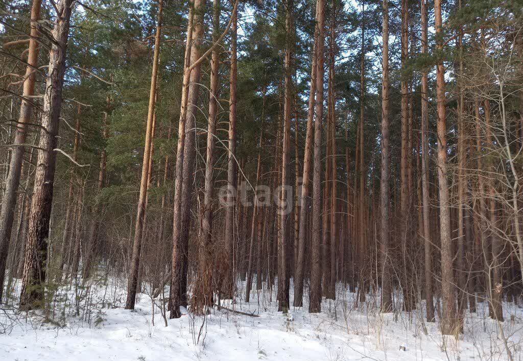 земля р-н Сысертский снт Дачное Полевской тракт, 5809 км, некоммерческое партнёрство Аэродром, пер. Свободы, Екатеринбург фото 3