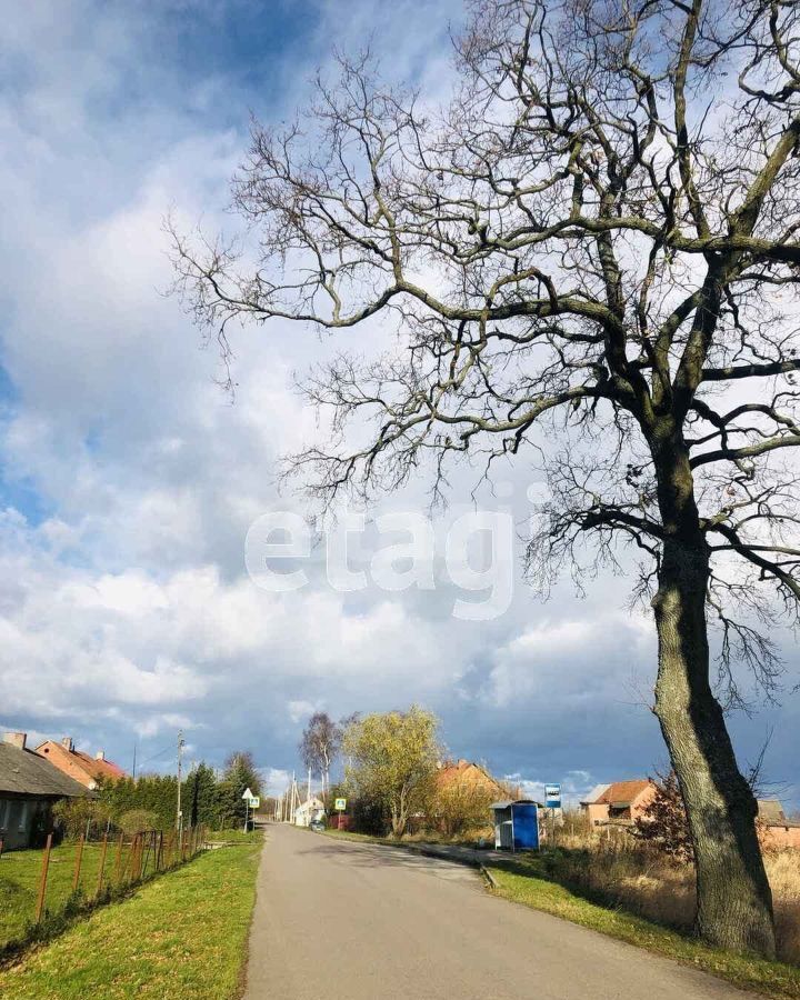 земля р-н Зеленоградский п Вербное Зеленоградск фото 3