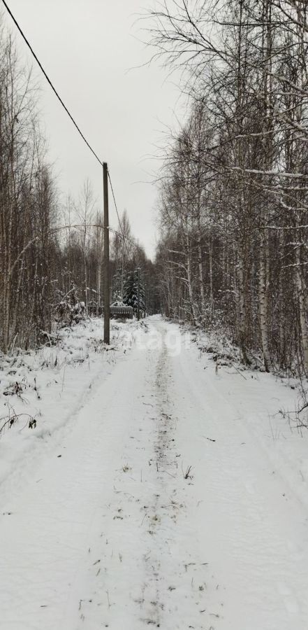 дом р-н Тюменский д Решетникова ул Рябиновая Тюмень фото 8