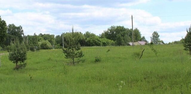 п Глубокое ул Комсомольская 13 Каменногорское городское поселение фото