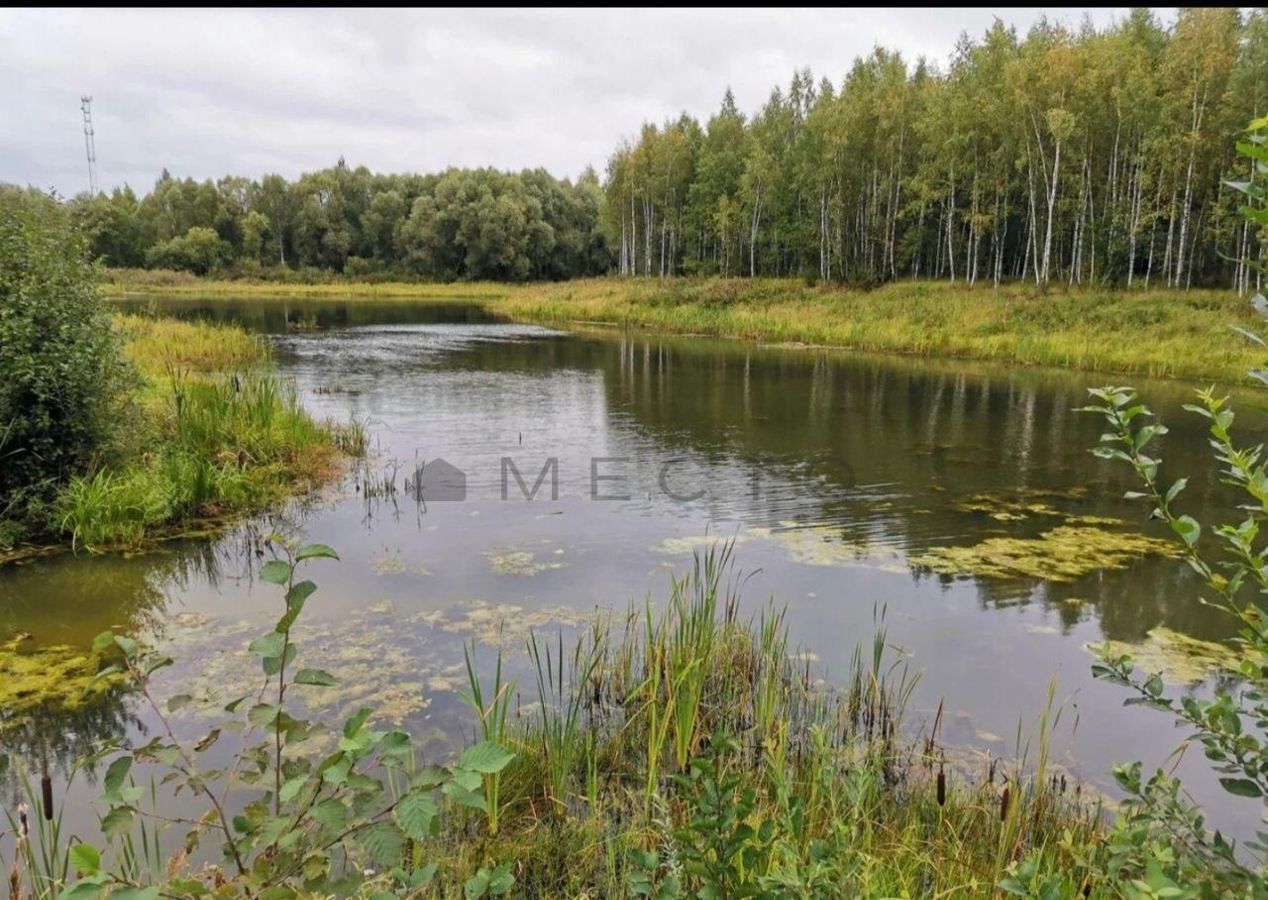 земля городской округ Можайский д Утицы 9825 км, 42, Можайск, Минское шоссе фото 8