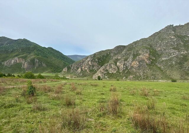 ул Центральная Онгудай фото