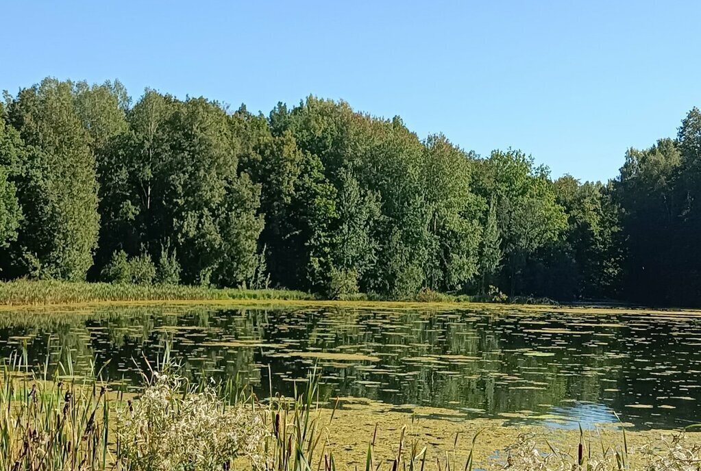 земля р-н Ломоносовский д Малые Горки ул Парковая фото 10