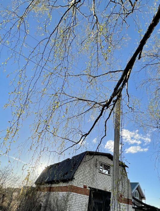 земля р-н Кстовский д Горный Борок фото 2