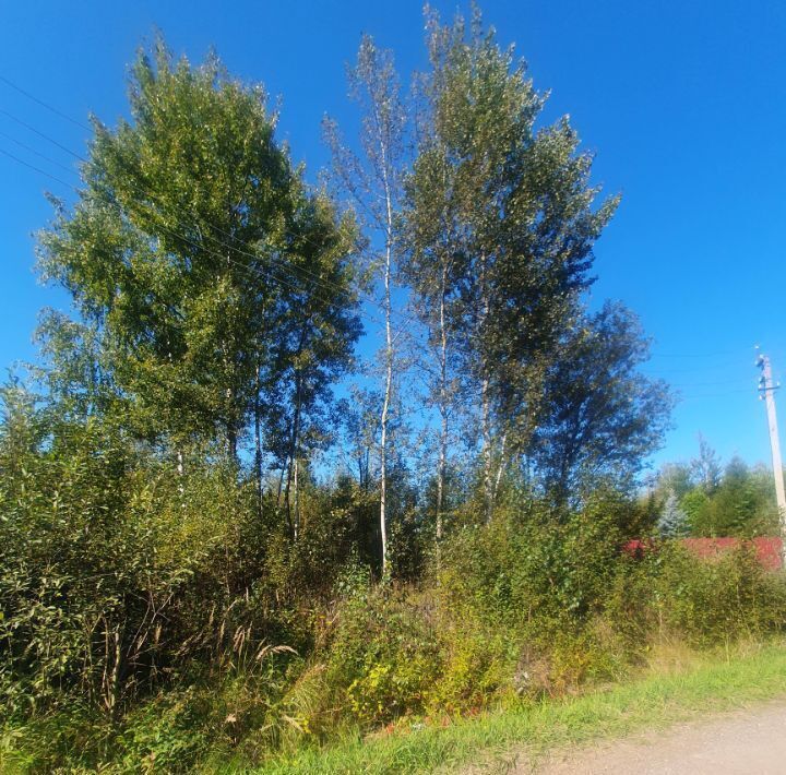 земля городской округ Богородский г Ногинск снт Ветеран-ЦАО ул. Сосновая фото 1