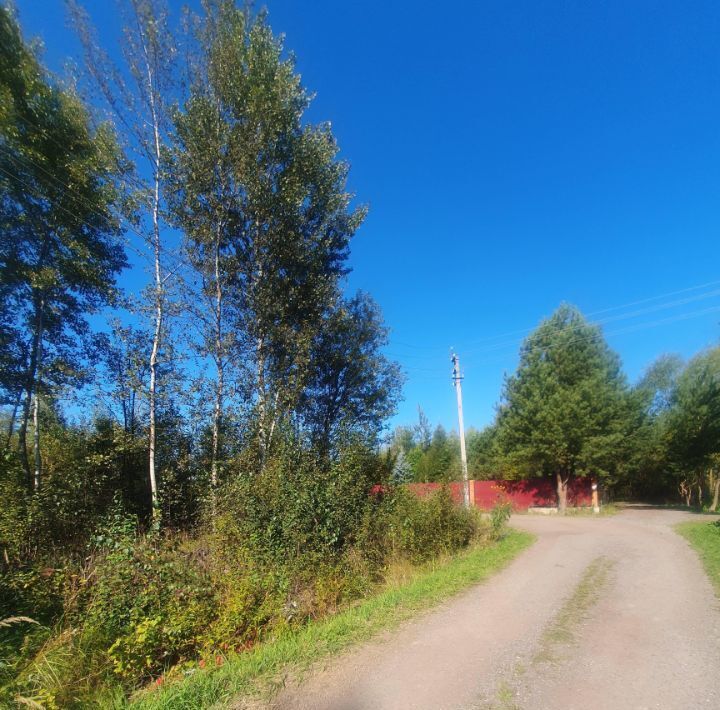 земля городской округ Богородский г Ногинск снт Ветеран-ЦАО ул. Сосновая фото 21