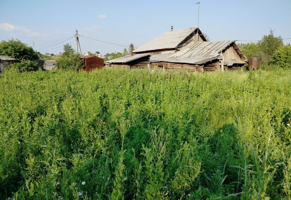 дом р-н Пермский д Шульгино Гамово фото 5