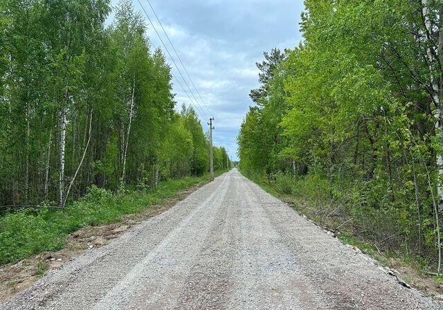 Дорога жизни, 25 км, Рахьинское городское поселение, Рахья, дачное некоммерческое партнёрство фото