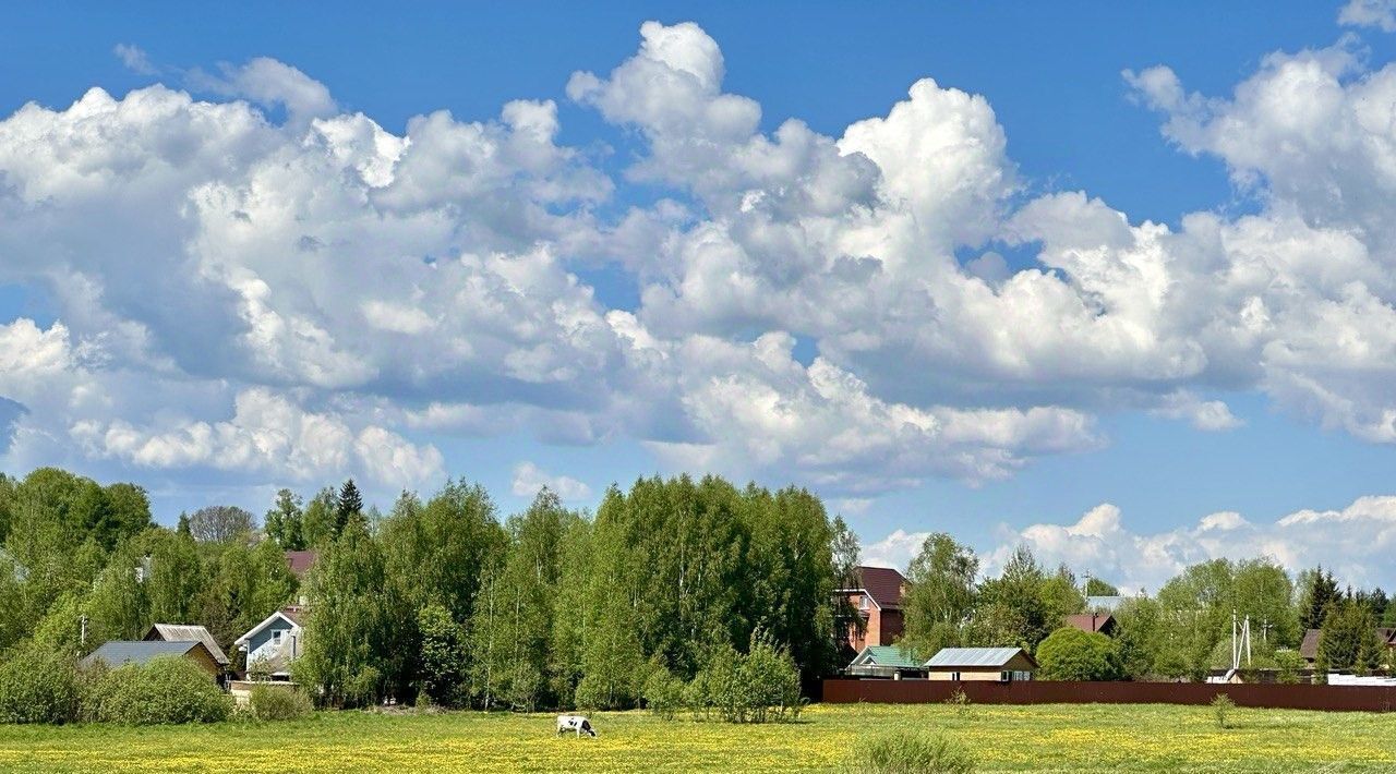 земля городской округ Дмитровский д Дмитровка Лобня, 38 фото 3