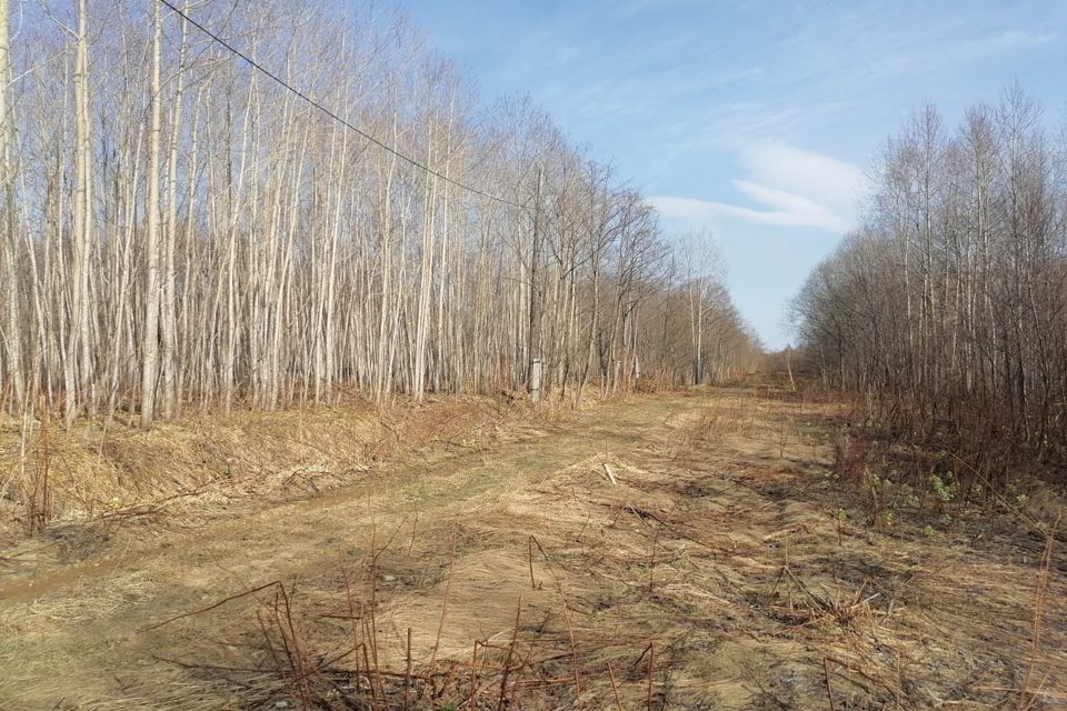 земля городской округ Южно-Сахалинск, село Санаторное фото 4