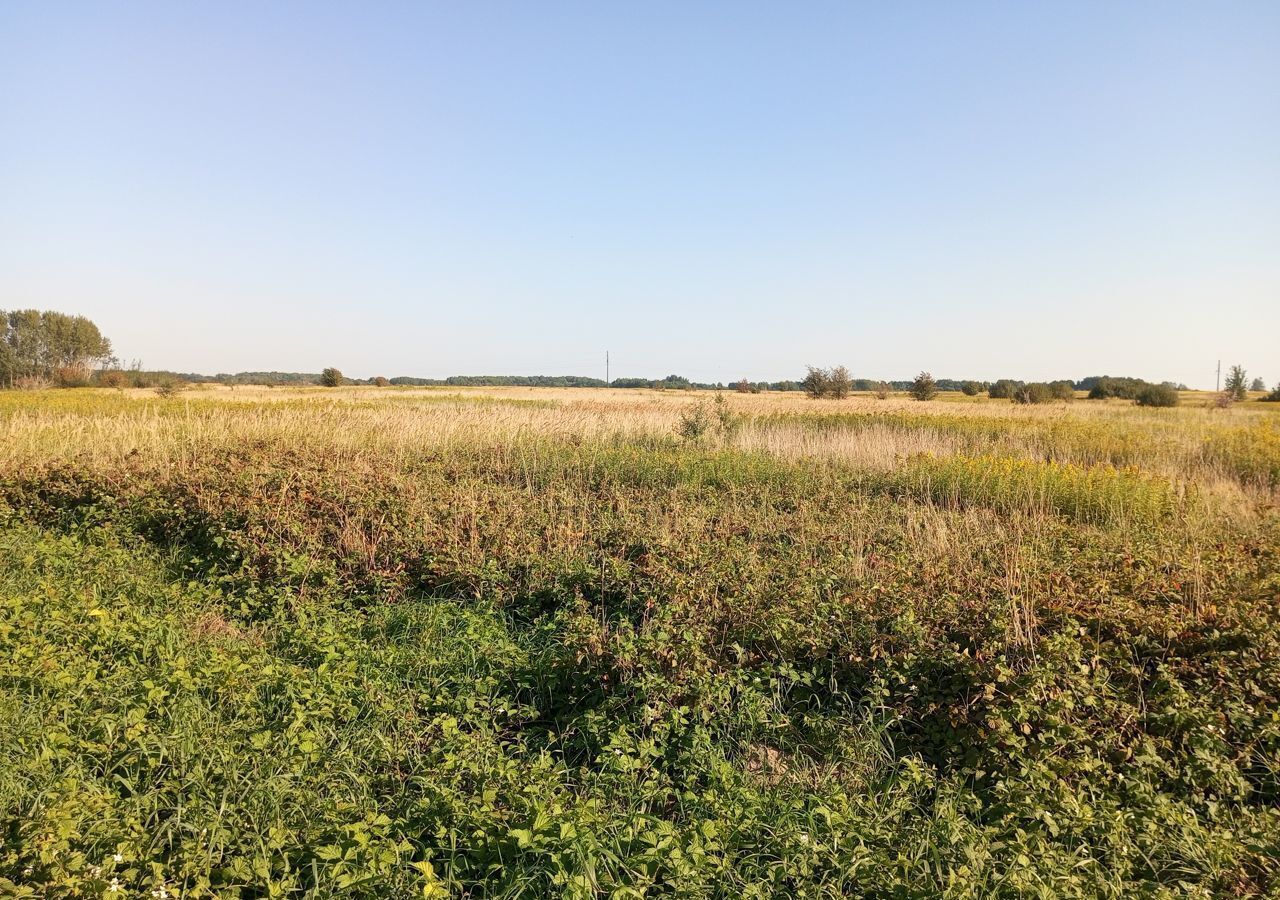 земля р-н Гурьевский п Голубево Калининград фото 7