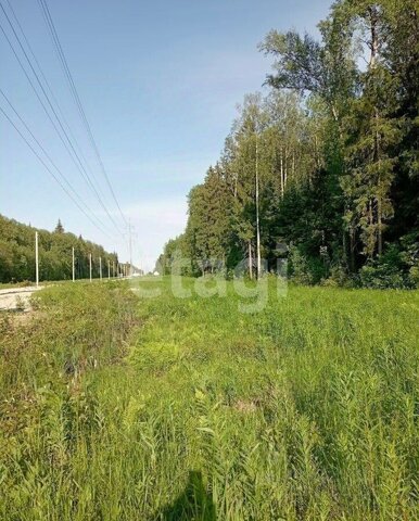 9766 км, садовое товарищество Водолей, Можайское шоссе фото