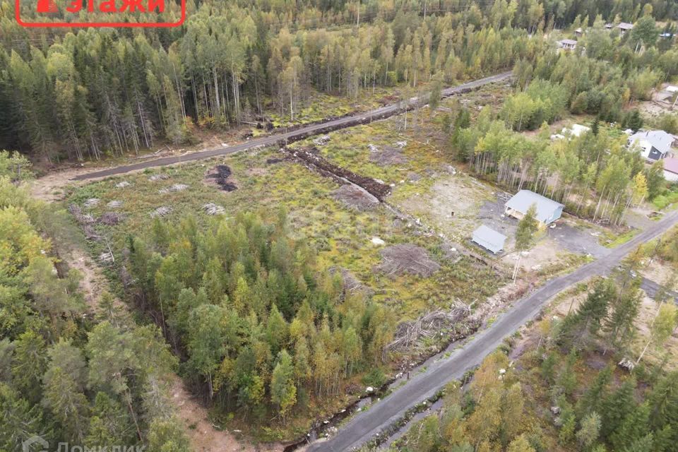 земля р-н Прионежский СНТ Педасельга фото 5