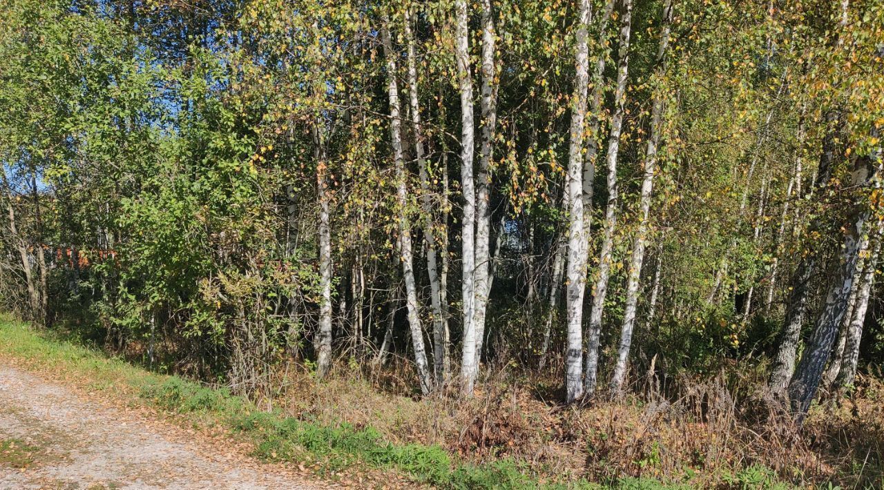 земля городской округ Волоколамский Родник-43 садовое товарищество фото 4