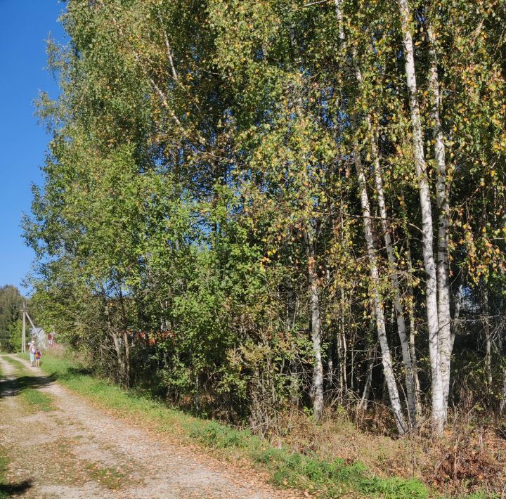 земля городской округ Волоколамский Родник-43 садовое товарищество фото 7