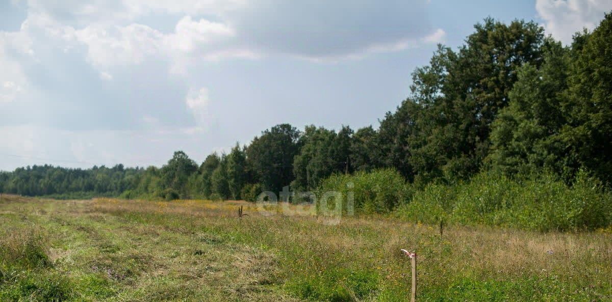 земля г Ижевск р-н Ленинский ул Сосновая фото 4