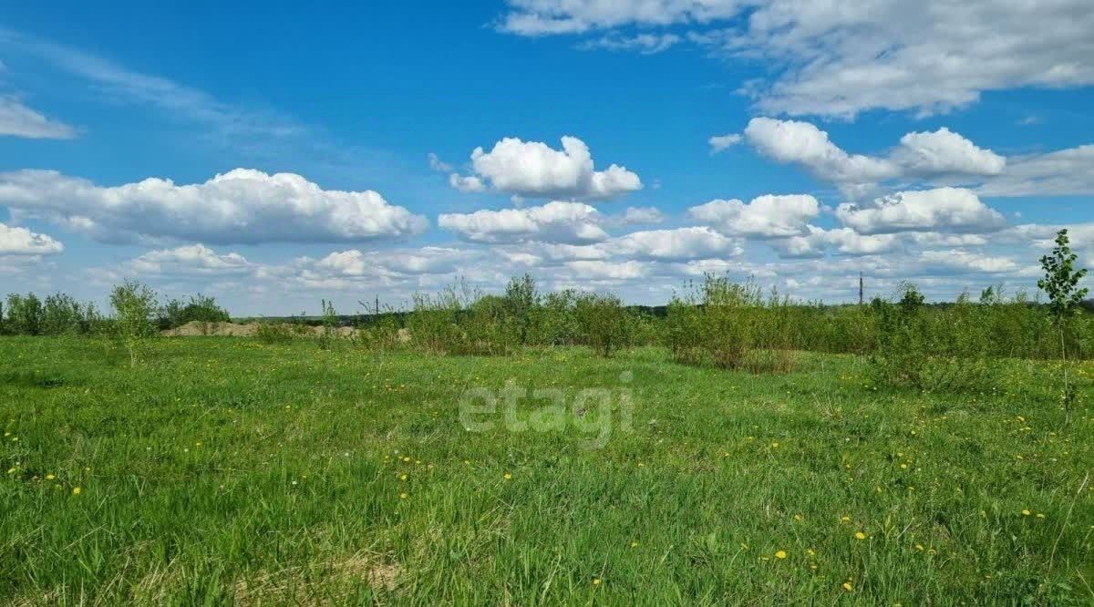 земля г Ижевск р-н Ленинский ул Сосновая фото 5